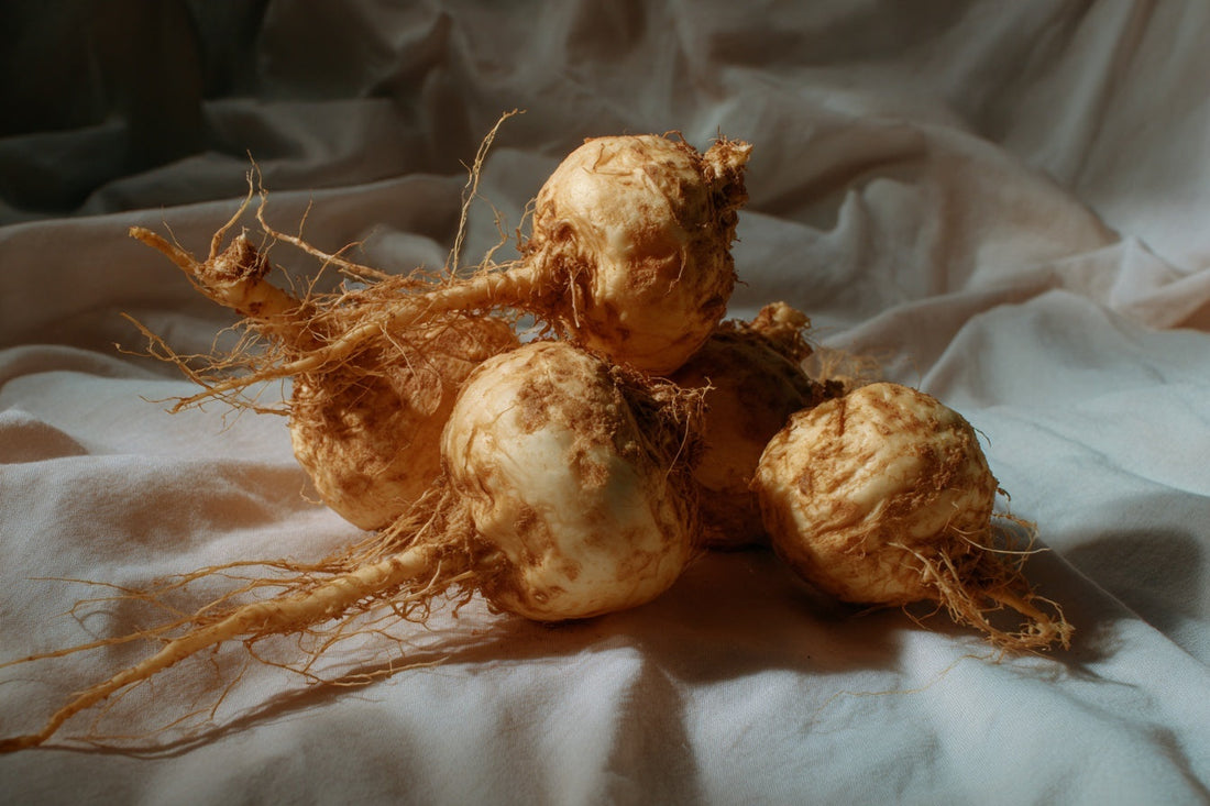 Maca Root: A Guide to Its Origins and Uses