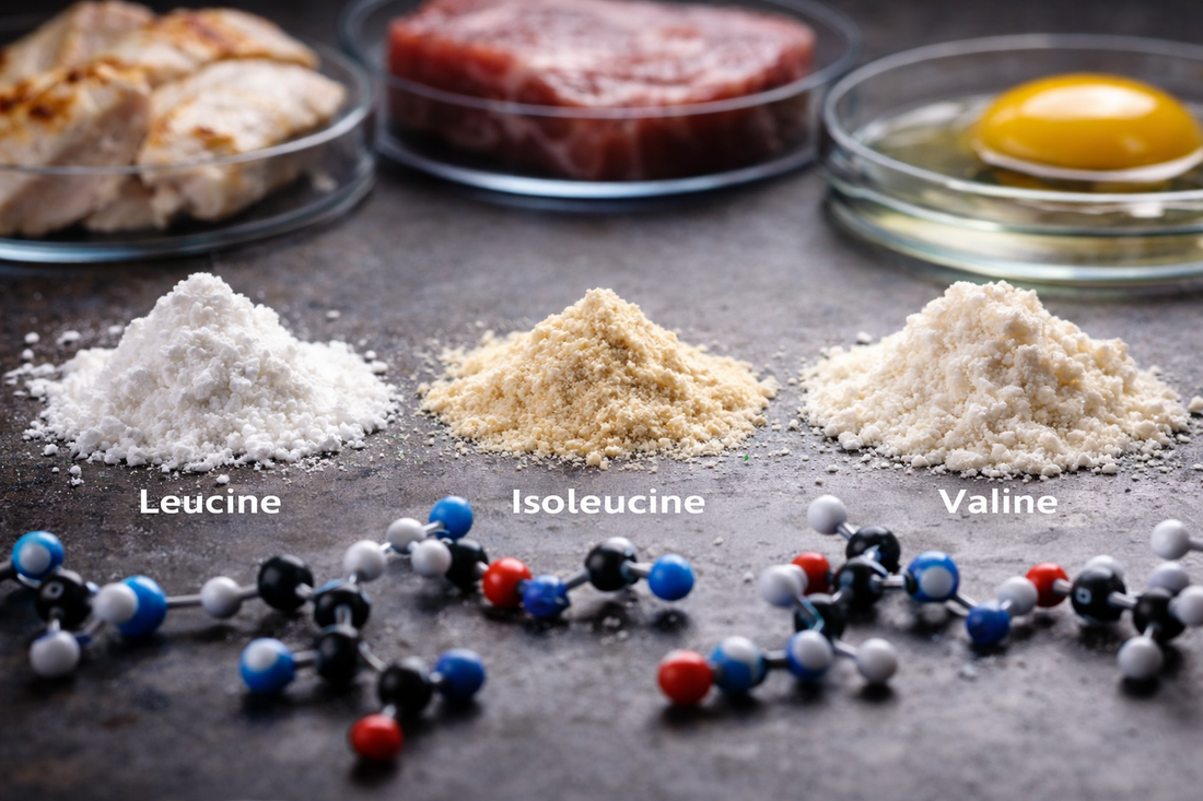 What BCAAs Do for the Body