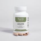 Lion's Mane Mushroom