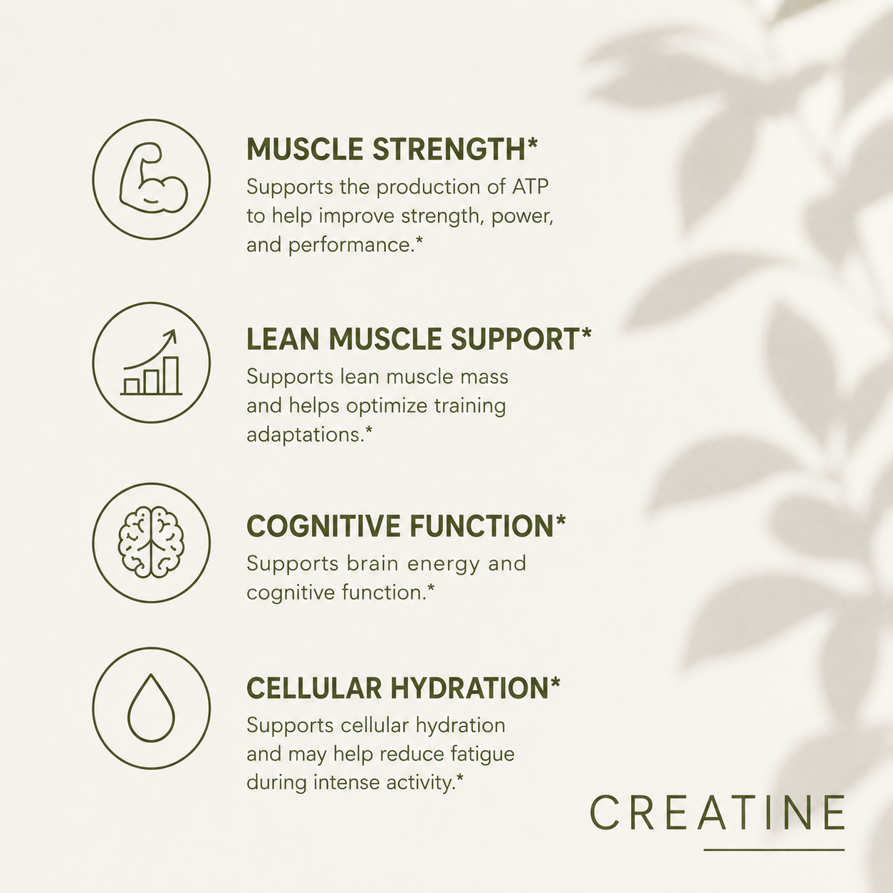Creatine Monohydrate