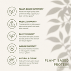 Plant Protein (Vanilla)