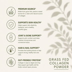 Grass-Fed Collagen Creamer (Vanilla)