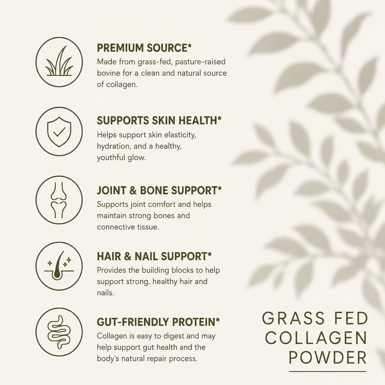 Grass-Fed Collagen Creamer (Vanilla)